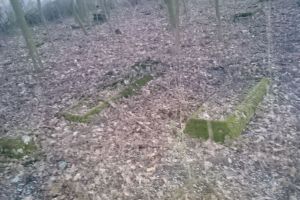 Widok ogólny na cmentarz