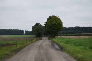Przekazanie terenu budowy pod inwestycję „Przebudowa drogi powiatowej nr 1723 Wałycz-Wałyczyk km 0+000 ÷ 3+228”.