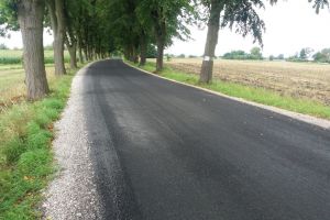 Droga Książki - Brudzawki