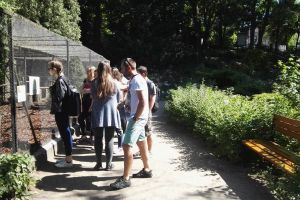 23 05 2018 WYCIECZKA DO OGRODU ZOOBOTANICZNEGO (4).jpg