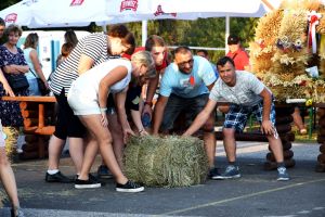 97. Dożynki gminno-powiatowe 2019