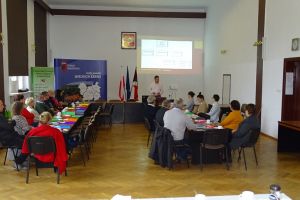 6. Spotkanie edukacyjne promujące pieczę zastępczą