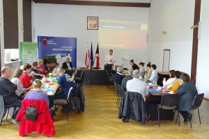 9. Spotkanie edukacyjne promujące pieczę zastępczą