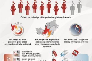 4. Czujka na straży Twojego bezpieczeństwa