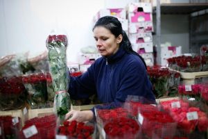 Pomagając przedsiębiorcom ratujemy byt przedsiębiorstw i miejsca pracy, a także wpływy podatkowe; fot. Mikołaj Kuras dla...