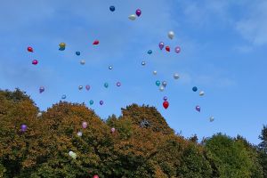 zdjęcia z IX Integracyjny Piknik Rodzinny „Być z rodziną”