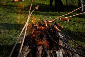 zdjęcia z IX Integracyjny Piknik Rodzinny „Być z rodziną”