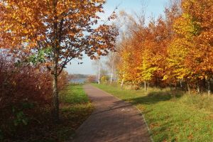 Źródło URZĄD MIASTA WĄBRZEŹNO www.wabrzezno.com