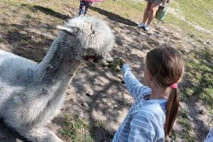 Placówka Opiekuńczo-Wychowawcza w Książkach