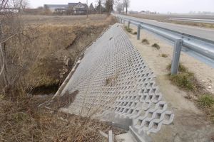 Droga powiatowa Czaple-Ryńsk (3)