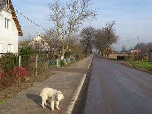 Chodnik we wsi Józefkowo