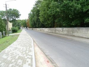 Droga Wiewiórki - Nowa Wieś Królewska