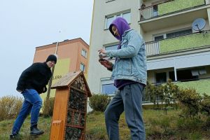 Uczniowie zasiedlają domki dla owadów (3)