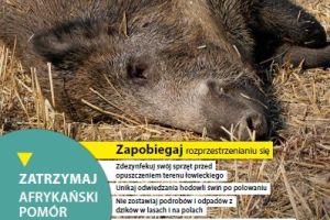 PLAKAT 2