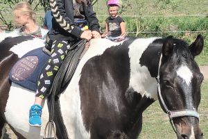 Dziewczynka jeżdżąca na koniu