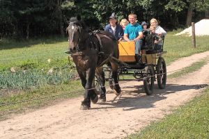 Dzieci jadące na bryczce
