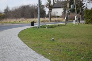 chodnik przy markecie dino w książkach (8)