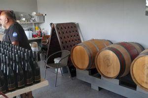 wycieczka uczniów zs w wąbrzeźnie do winnicy kurkocin (6)