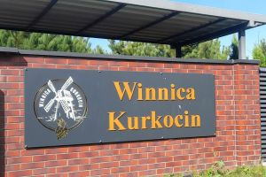 wycieczka uczniów zs w wąbrzeźnie do winnicy kurkocin (8)