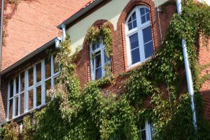 wyremontowany budynek poradni psychologiczno-pedagogicznej (5)