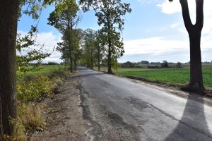 Przebudowa drogi we Wroniu (1)