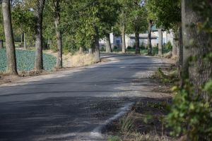 Przebudowa drogi we Wroniu (3)