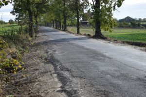 Przebudowa drogi we Wroniu (2)