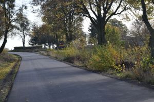 Droga w Kurkocinie (2)
