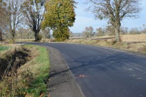 Droga w Kurkocinie (4)