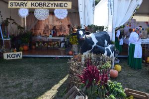dożynki 16