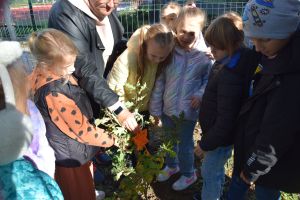 Dzień Drzewa (21)