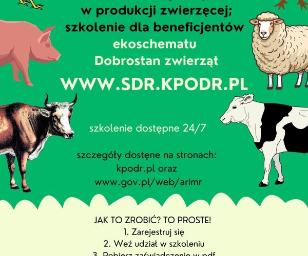 plakat szkolenia sdr kpodr pl