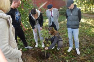 Akcja "Myśl Długoterminowo SADŹ DRZEWA"