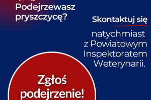 Podejrzewasz pryszczyce  skontaktuj sie z PLWPodejrzewasz pryszczycę skontaktuj się z PLWet