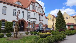 Nowo posadzone drzewa na tle budynku Starostwa Powiatowego w Wąbrzeźnie