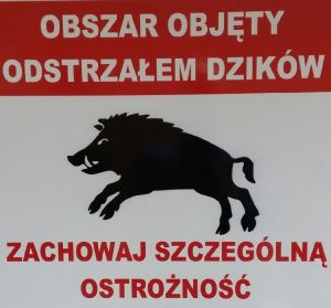 dziki_wstęp