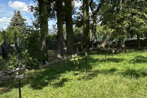 Zamontowane tabliczki z imionami drzew posadzonych z okazji Światowego Dnia Drzewa