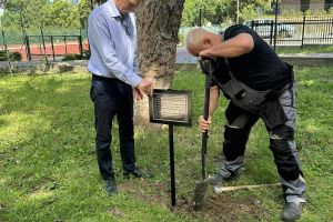 Zamontowane tabliczki z imionami drzew posadzonych z okazji Światowego Dnia Drzewa