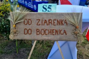Dożynki wojewódzkie 2025 (12)