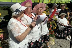 Piknik Rodzinny i Przegląd Twórczości Osób Niepełnosprawnych "Razem w rutmie szczęścia" w DPS w Wąbrzeźnie