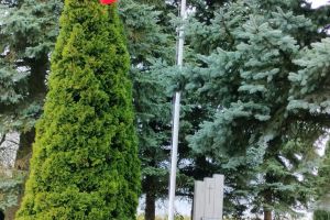 Uroczystość patriotyczno-religijna pod Pomnikiem Pomordowanych w Kurkocinie