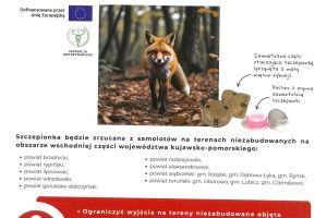 Plakat informujący o szczepieniu lisów