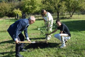 Piknik Ekologiczny w Specjalnym Ośrodku Szkolno-Wychowawczym we Wroniu