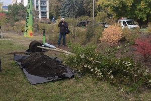 Wręczenie nagród w ramach 23. edycji Święta Drzewa w Warszawie w konkursach: Drzewo Roku i Czarodziejskie Drzewo