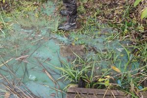 78d5bddd-92ea-4b2d-b571-9a4a6e47e492