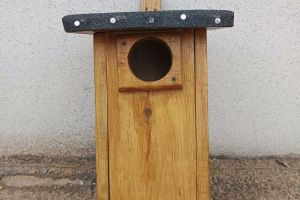 Budynek Specjalnego Ośrodka Szkolno-Wychowawczego we Wroniu po zakończonej termomodernizacji