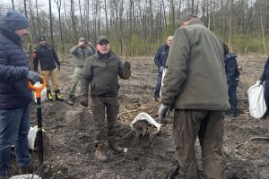 Społeczna akcja sadzenia lasu w Ryńsku, na terenie Leśnictwa Wronie