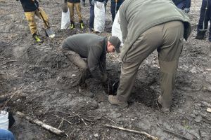 Społeczna akcja sadzenia lasu w Ryńsku, na terenie Leśnictwa Wronie
