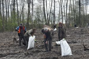 Społeczna akcja sadzenia lasu w Ryńsku, na terenie Leśnictwa Wronie
