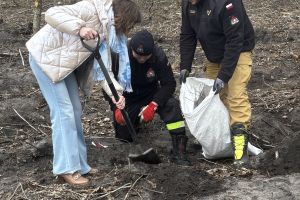 Społeczna akcja sadzenia lasu w Ryńsku, na terenie Leśnictwa Wronie